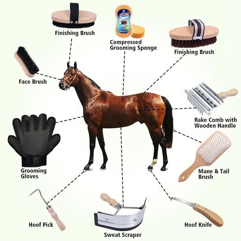 Harrison Howard Horse Grooming Kit 10-Piece Wooden Brush Set with Storage Case Tack Room Supplies Shedding Grooming Massaging Tools in Saudi Arabia