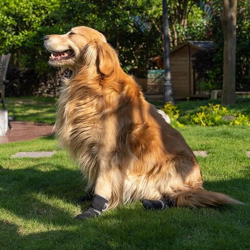 Dog Boots Paw Protector,Sports Non-Slip Pet Dog Anti-Slip Sole, Breathable Dog Booties Paw Protector for Hot Pavement Winter Snow Hiking Booties (S) in Kuwait