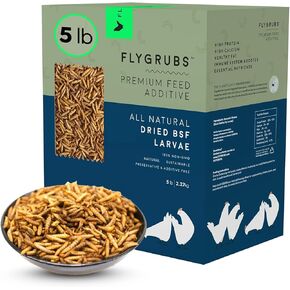 FLYGRUBS متفوقة على ديدان الوجبة المجففة للدجاج (1 رطل) - 85 مرة أكثر من الكالسيوم من ديدان الوجبة الحية - علف الدجاج غير المعدل وراثيًا - علاجات BSFL للدجاج والبط والديك الرومي والطيور البرية والسلاحف والسمان