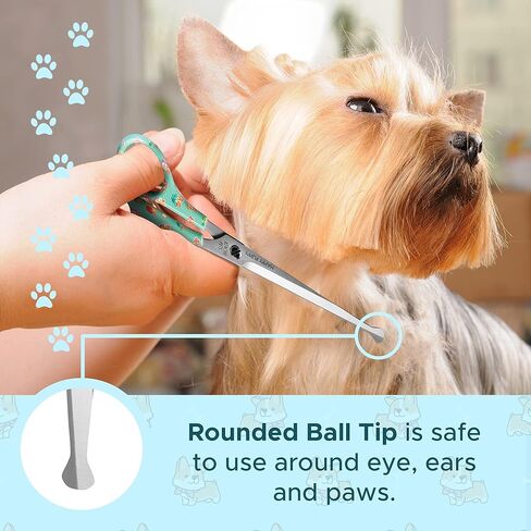 Kenchii Happy Puppy Ball Tip Shears Trimming Scissors for Dogs | Pet Grooming Puppy Essentials | Stainless Steel Grooming Scissors for Dogs | Safety Blunt Tip Scissors and Dog Grooming Tools | 5.5 In in Kuwait