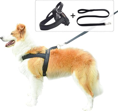 Augegel No Pull Dog Harness and Leash Set,Soft Vest Harness with Chest Length Adjustable, Medium Large Dog Harness with A Free Heavy Duty,Reflective Lightweight Harness (Black-M(Chest23.6-27.6")) in Saudi Arabia