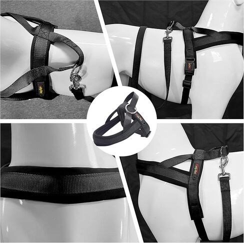 Augegel No Pull Dog Harness and Leash Set,Soft Vest Harness with Chest Length Adjustable, Medium Large Dog Harness with A Free Heavy Duty,Reflective Lightweight Harness (Black-M(Chest23.6-27.6")) in Saudi Arabia
