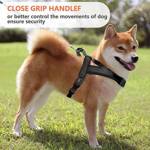 Augegel No Pull Dog Harness and Leash Set,Soft Vest Harness with Chest Length Adjustable, Medium Large Dog Harness with A Free Heavy Duty,Reflective Lightweight Harness (Black-M(Chest23.6-27.6")) in Saudi Arabia
