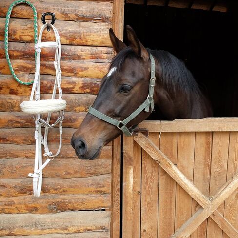 جوتيدا رف لجام الحصان: 6 قطع من خطافات اللجام، دعامة اللجام مع انابيب وبرغي معدني حامل اللجام لتخزين لوازم حظيرة الحصان in Kuwait