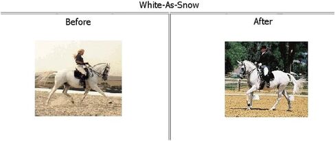 WHITE-AS-SNOW Horse Coat Enhancing Supplement For Light Colored Horses 4lbs in Saudi Arabia