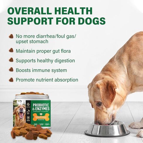 Probiotic for Dogs, 2Pcs Probiotic Chews for Dogs with Digestive Enzymes, Freshen Breath, Support Bowel, Immune, Digestive Health, Dog Probiotics for Yeast, Itchy Skin and Itchy Ears in Kuwait