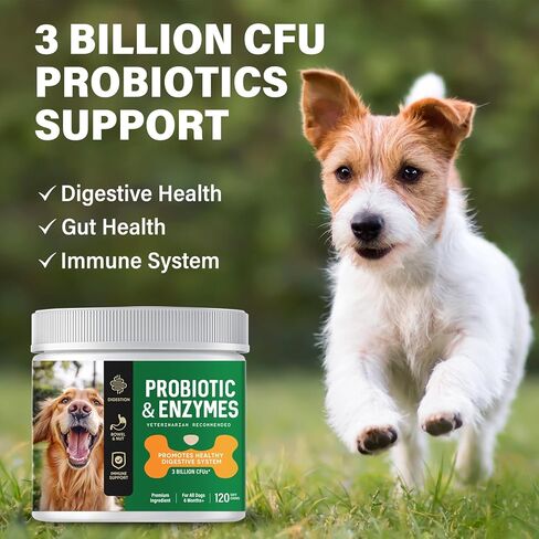 Probiotic for Dogs, 2Pcs Probiotic Chews for Dogs with Digestive Enzymes, Freshen Breath, Support Bowel, Immune, Digestive Health, Dog Probiotics for Yeast, Itchy Skin and Itchy Ears in Kuwait