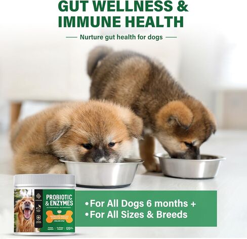 Probiotic for Dogs, 2Pcs Probiotic Chews for Dogs with Digestive Enzymes, Freshen Breath, Support Bowel, Immune, Digestive Health, Dog Probiotics for Yeast, Itchy Skin and Itchy Ears in Kuwait