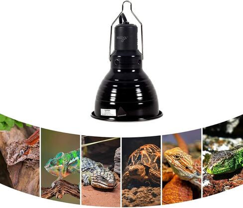 مجموعة مصابيح الزواحف من WACOOL مكونة من 2 ومقياس حرارة، ومثبت إضاءة للزواحف انعكاس بصري ومقياس درجة الحرارة لمصباح الحرارة للزواحف UVB (5.5 بوصة) in Kuwait