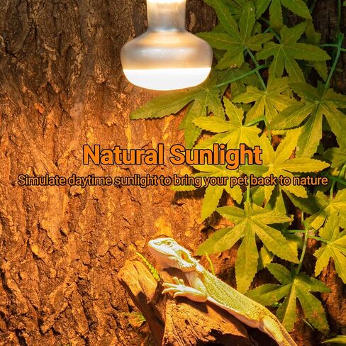 REPTI ZOO 2 Pack Reptile Heat Lamp, 75W Reptile Basking Bulb Simulate Natural Sunlight Heating Lamp Bulb, UVA Heat Lamp Bulb for Reptiles Chickens Heating Use in Kuwait