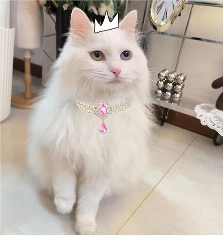 2 Row Pearls Collar for Cats Pearl Dog Collar Rhinestone Necklaces for Small Dogs Collar Accessories Cat Pearl Collar (Medium, Crystal) in Saudi Arabia