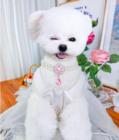 2 Row Pearls Collar for Cats Pearl Dog Collar Rhinestone Necklaces for Small Dogs Collar Accessories Cat Pearl Collar (Medium, Crystal) in Saudi Arabia
