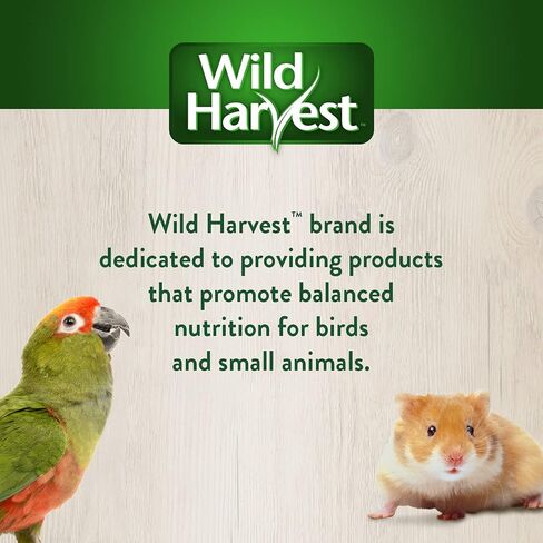 Wild Harvest Foraging Instincts Peck n 'Play علاج تفاعلي، 4.3 أونصة، للطيور الكبيرة in Kuwait