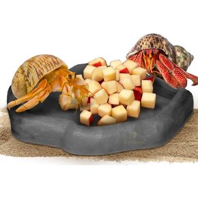 SunGrow Hermit Crab Water Bowl and Bathing Pool, 5 x 5.5 Inches, Reptile Food Bowl and Hermit Crab Supplies, Water Dish and Climber, Charcoal Color, 1 Pc/Pack in Saudi Arabia