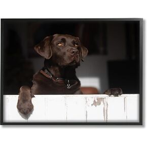 Stupell Industries Labrador Dog Overlooking Farm Leaning Barn Door Framed Wall Art, Design By James Dobson in Saudi Arabia