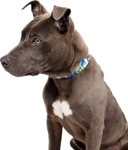 Country Brook Petz - طوق Anchor's Away Martingale للكلاب مع إبزيم فاخر - مجموعة Summer Breeze مع 4 تصميمات مشمسة (1 بوصة، كبيرة) in Kuwait