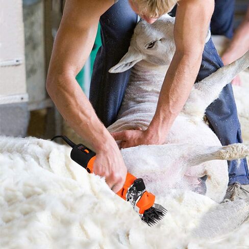 Sheep Shearer Clipper, Goat Sheep Shears 680W Electric Wool Shear Large Animal Clippers for Sheep Alpaca Goat Cattle Farm Animals in Saudi Arabia