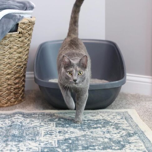 Amazon Basics High-Sided Easy-to-Clean Cat Litter Box, Large, Gray in Saudi Arabia