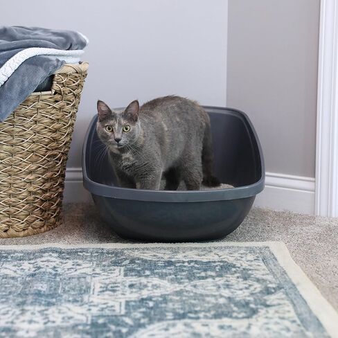 Amazon Basics High-Sided Easy-to-Clean Cat Litter Box, Large, Gray in Saudi Arabia