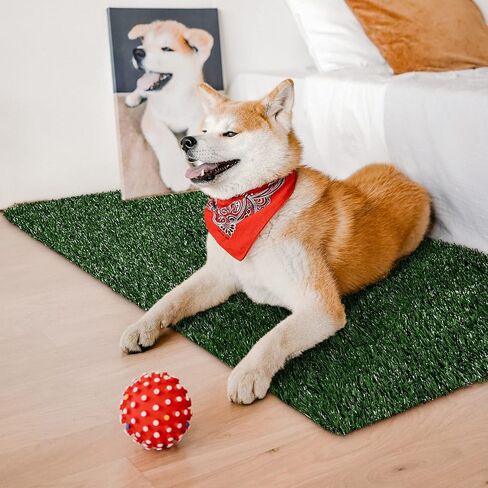 Artificial Dog Grass Pee Pad - 31.5"x39.4" Indoor Dogs Potty Pet Loo Training Replacement Turf for Puppy, Easy to Clean with Strong Permeability Backing in Saudi Arabia