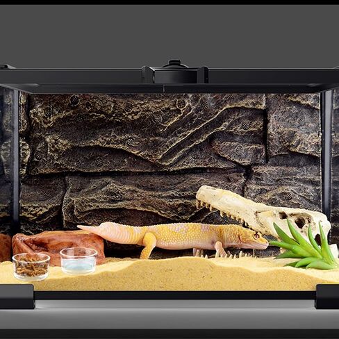 6 قطع من التغذية الزجاجية للزواحف من شركة ويفربيرد، حاوية لحفظ الطعام والماء للحيوانات الأليفة الصغيرة وسليمة السلاحف السلاحف العنكبوت، ثعبان الذرة، ثعبان سنتبيدي كريكيت in Kuwait