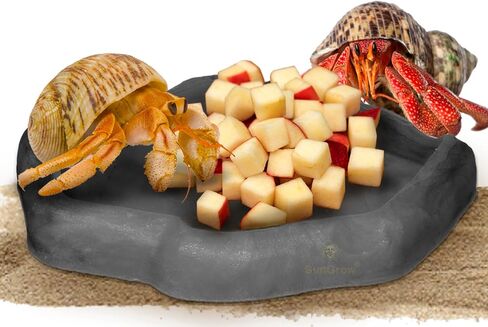 SunGrow Hermit Crab Water Bowl and Bathing Pool, 5 x 5.5 Inches, Reptile Food Bowl and Hermit Crab Supplies, Water Dish and Climber, Charcoal Color, 1 Pc/Pack in Saudi Arabia