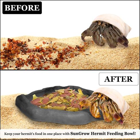 SunGrow Hermit Crab Water Bowl and Bathing Pool, 5 x 5.5 Inches, Reptile Food Bowl and Hermit Crab Supplies, Water Dish and Climber, Charcoal Color, 1 Pc/Pack in Saudi Arabia