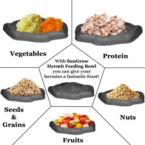 SunGrow Hermit Crab Water Bowl and Bathing Pool, 5 x 5.5 Inches, Reptile Food Bowl and Hermit Crab Supplies, Water Dish and Climber, Charcoal Color, 1 Pc/Pack in Saudi Arabia