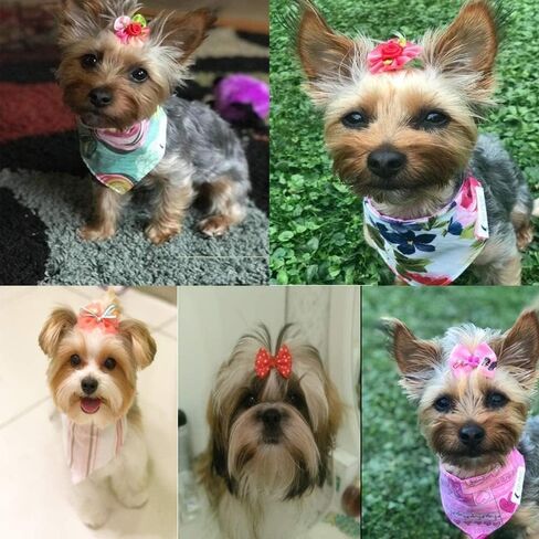 Yagopet 50pcs/Pack Cute New Dog Hair Bows Pairs Rhinestone Pearls Flowers Topknot Mix Styles Dog Bows Pet Grooming Products Mix Colors Pet Hair Bows Topknot Rubber Bands in Saudi Arabia