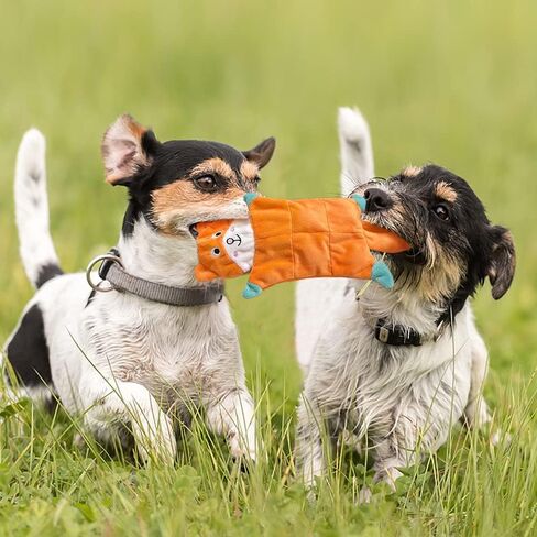 No Stuffing Dog Toys,5 Pack Dog Squeaky Toys Crinkle Plush Dog Toys Set for Puppy Teething, Durable Dog Chew Toys for Small Medium Dog,Cute Holiday Pet Toys for Playing Training Reducing Boredom in Kuwait