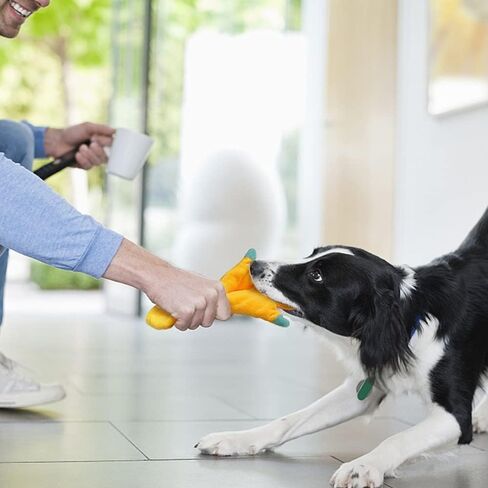 No Stuffing Dog Toys,5 Pack Dog Squeaky Toys Crinkle Plush Dog Toys Set for Puppy Teething, Durable Dog Chew Toys for Small Medium Dog,Cute Holiday Pet Toys for Playing Training Reducing Boredom in Kuwait