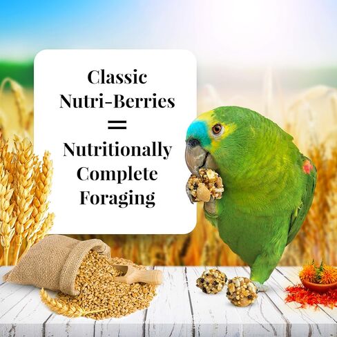 LAFEBER'S Classic Nutri-Berries Pet Bird Food, Made with Non-GMO and Human-Grade Ingredients, for Parrots, 10 oz in Saudi Arabia