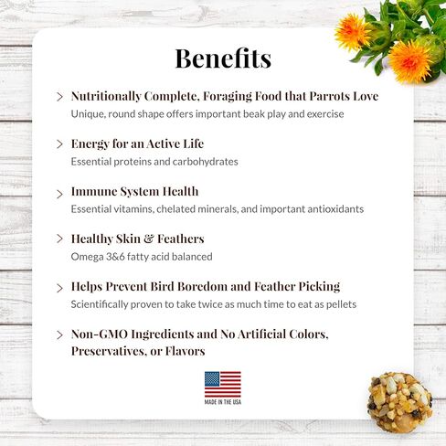 LAFEBER'S Classic Nutri-Berries Pet Bird Food, Made with Non-GMO and Human-Grade Ingredients, for Parrots, 10 oz in Saudi Arabia