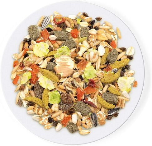 Witte Molen Pure Hamster Food Seed Mixture Mealworms, Sunflower Seeds, Puffed Rice, Grape Nuts, No Artificial Preservatives Dry Food, 1.7 lbs (2 Pack in Saudi Arabia
