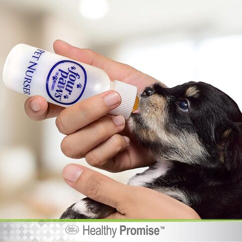 Pet Nurser Bottles Kit, 2.2 oz, 2 Pk in Saudi Arabia