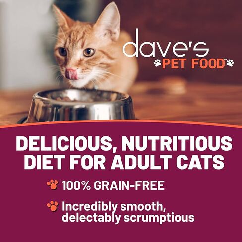 طعام القطط الرطب الخالي من الحبوب من Dave's Pet Food (معجون صلصة الدجاج والبط)، طعام القطط المعلب الصحي بشكل طبيعي، الفيتامينات والمعادن المضافة، القمح والغلوتين، علب 5.5 أونصة (علبة تحتوي على 24) in Kuwait