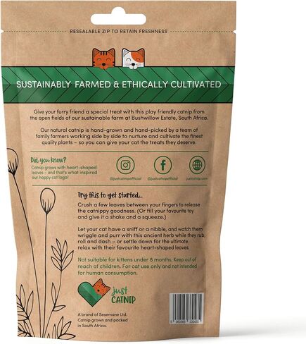 Just Catnip - Natural Catnip for Cats - 100% Natural - Sustainably Grown in South Africa - Ethically Made Cat Toy & Cat Treat - Maximum Potency Your Kitty Will Go Crazy for (1.05OZ/ 1 Cup) in Kuwait