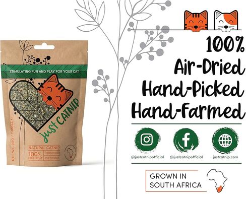 Just Catnip - Natural Catnip for Cats - 100% Natural - Sustainably Grown in South Africa - Ethically Made Cat Toy & Cat Treat - Maximum Potency Your Kitty Will Go Crazy for (1.05OZ/ 1 Cup) in Kuwait