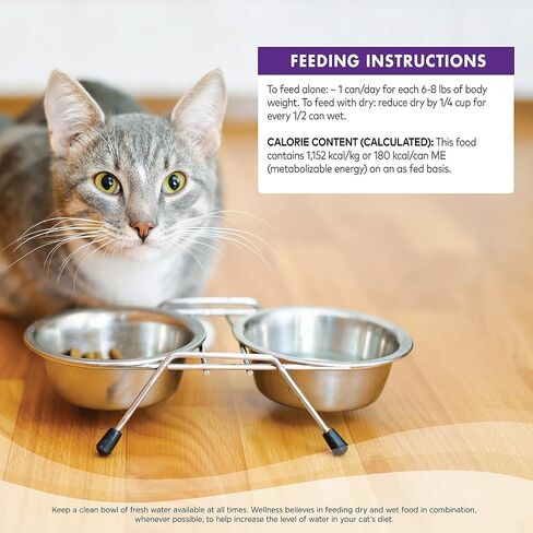 طعام القطط المعلب الرطب والخالي من الحبوب من Wellness Complete Health، مكونات طبيعية، مصنوع من اللحوم الحقيقية، جميع السلالات، بات ناعم (الديك الرومي والسلمون، علبة 3 أونصة، عبوة من 24) in Kuwait