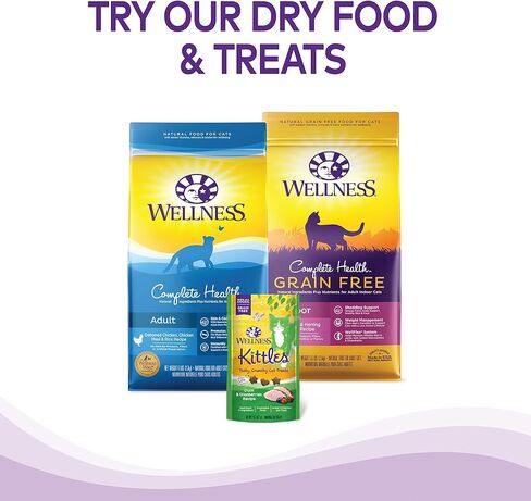 طعام القطط المعلب الرطب والخالي من الحبوب من Wellness Complete Health، مكونات طبيعية، مصنوع من اللحوم الحقيقية، جميع السلالات، بات ناعم (الديك الرومي والسلمون، علبة 3 أونصة، عبوة من 24) in Kuwait