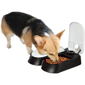 PAWISE Automatic Pet Feeder, Timed Dog Feeder,Self-Feeding Cat Food Dispenser, Auto Feeder for Wet & Dry Food with Ice Pack, 1.5 Cup,Treat Dispenser (1 Meal)