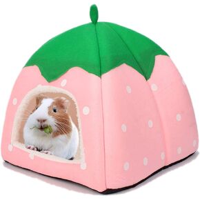 Guinea Pig Hideout Bed, Dwarf Rabbit House Cave in Saudi Arabia