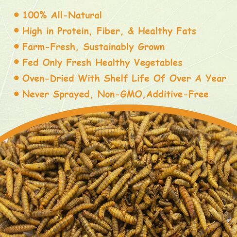 Jmxu's 5LB Dried Black Soldier Fly Larvae for Chicken or Birds, High Protein Chicken Feed, Premium Nutritious BSF Larvae Treats for Laying Hens, Ducks, Reptiles, Lizard, Turtles in Kuwait