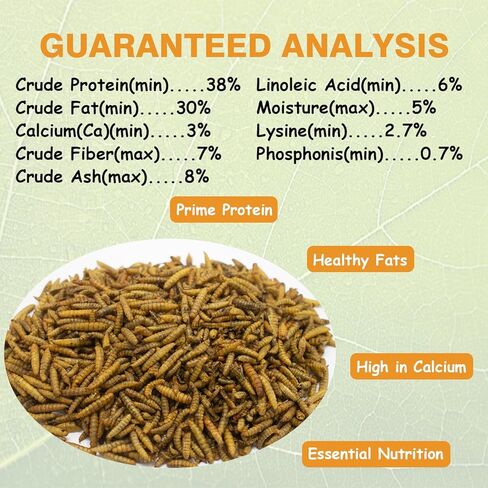 Jmxu's 5LB Dried Black Soldier Fly Larvae for Chicken or Birds, High Protein Chicken Feed, Premium Nutritious BSF Larvae Treats for Laying Hens, Ducks, Reptiles, Lizard, Turtles in Kuwait