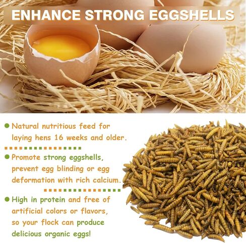 Jmxu's 5LB Dried Black Soldier Fly Larvae for Chicken or Birds, High Protein Chicken Feed, Premium Nutritious BSF Larvae Treats for Laying Hens, Ducks, Reptiles, Lizard, Turtles in Kuwait