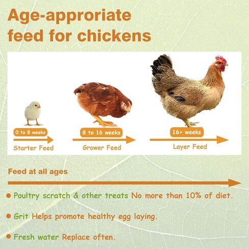 Jmxu's 5LB Dried Black Soldier Fly Larvae for Chicken or Birds, High Protein Chicken Feed, Premium Nutritious BSF Larvae Treats for Laying Hens, Ducks, Reptiles, Lizard, Turtles in Kuwait