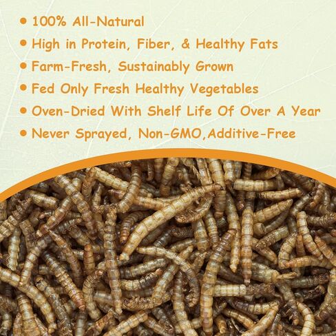 Jmxu's 5LB Dried Mealworms for Chicken or Birds, High Protein Chicken Feed, Premium Meal Worms- Food and Treats for Laying Hens, Ducks, Wild Birds, Reptiles, Lizard, Turtles in Kuwait