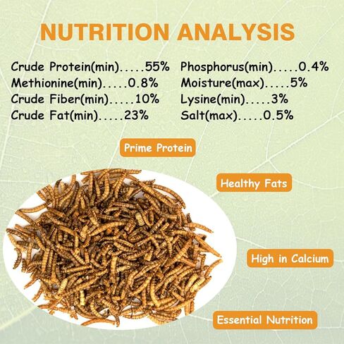 Jmxu's 5LB Dried Mealworms for Chicken or Birds, High Protein Chicken Feed, Premium Meal Worms- Food and Treats for Laying Hens, Ducks, Wild Birds, Reptiles, Lizard, Turtles in Kuwait