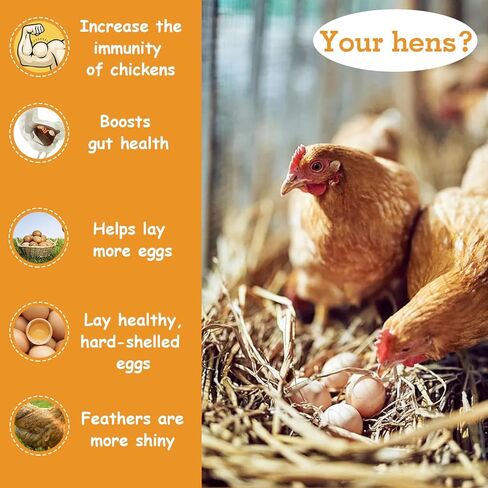 Jmxu's 5LB Dried Mealworms for Chicken or Birds, High Protein Chicken Feed, Premium Meal Worms- Food and Treats for Laying Hens, Ducks, Wild Birds, Reptiles, Lizard, Turtles in Kuwait