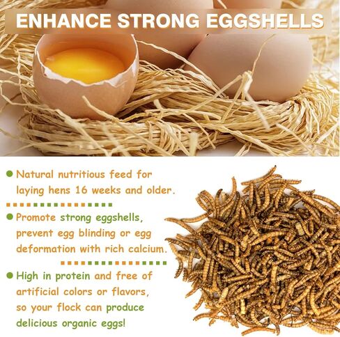 Jmxu's 5LB Dried Mealworms for Chicken or Birds, High Protein Chicken Feed, Premium Meal Worms- Food and Treats for Laying Hens, Ducks, Wild Birds, Reptiles, Lizard, Turtles in Kuwait